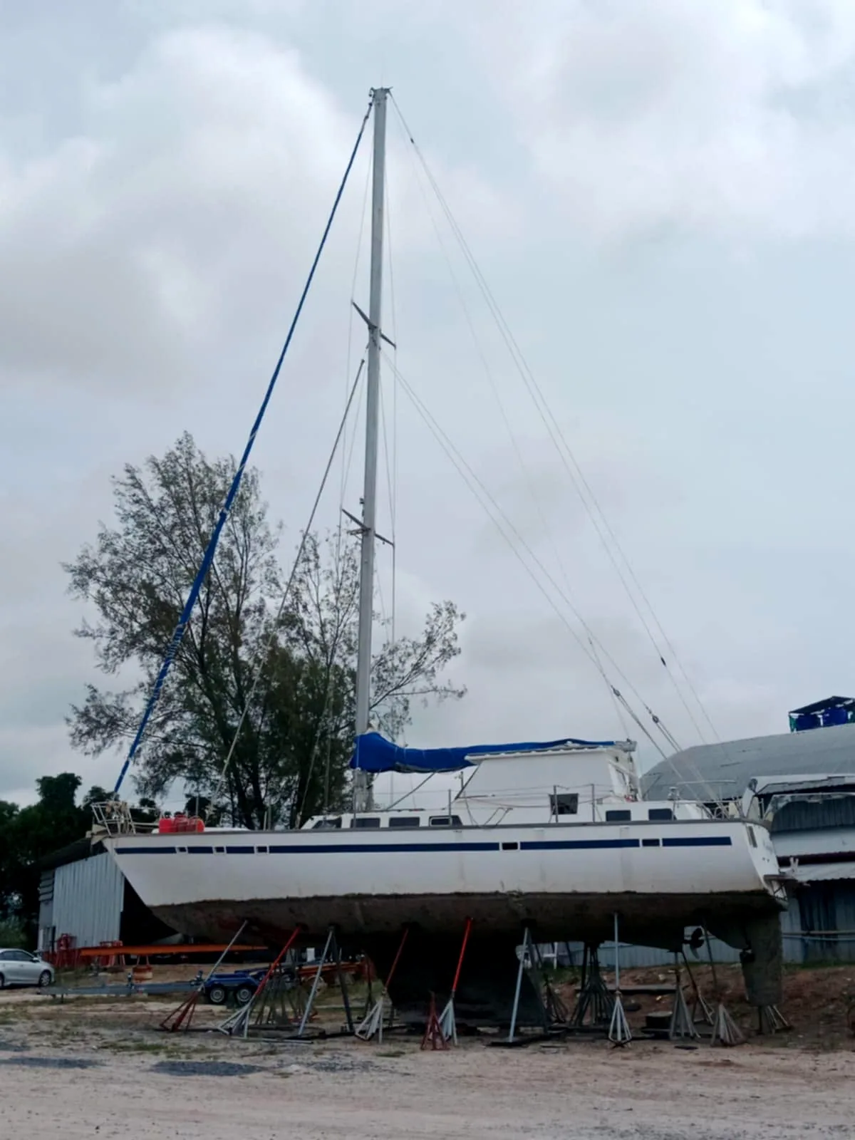 Hull bottom with marine growth before cleaning